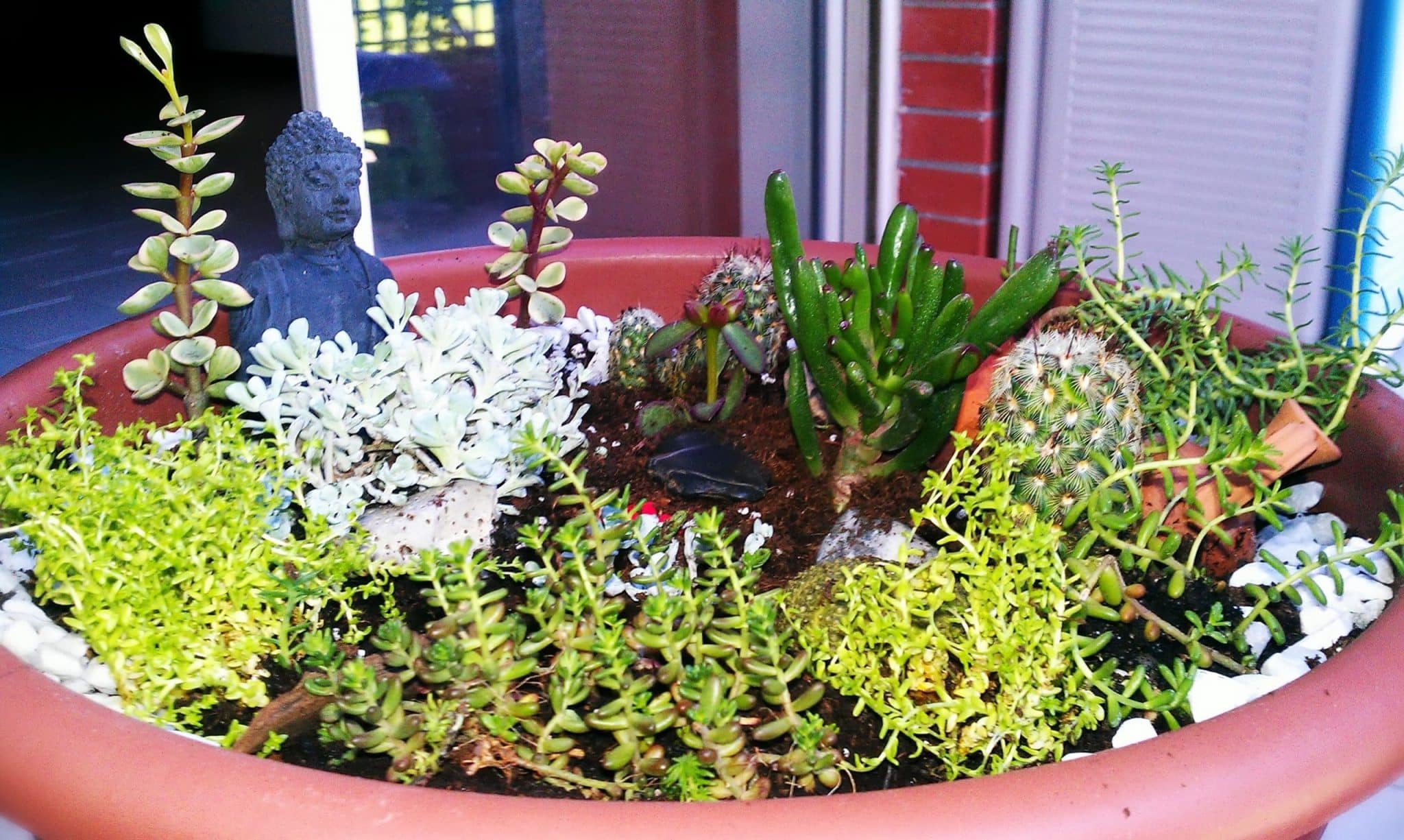 composition fairy garden with succulent