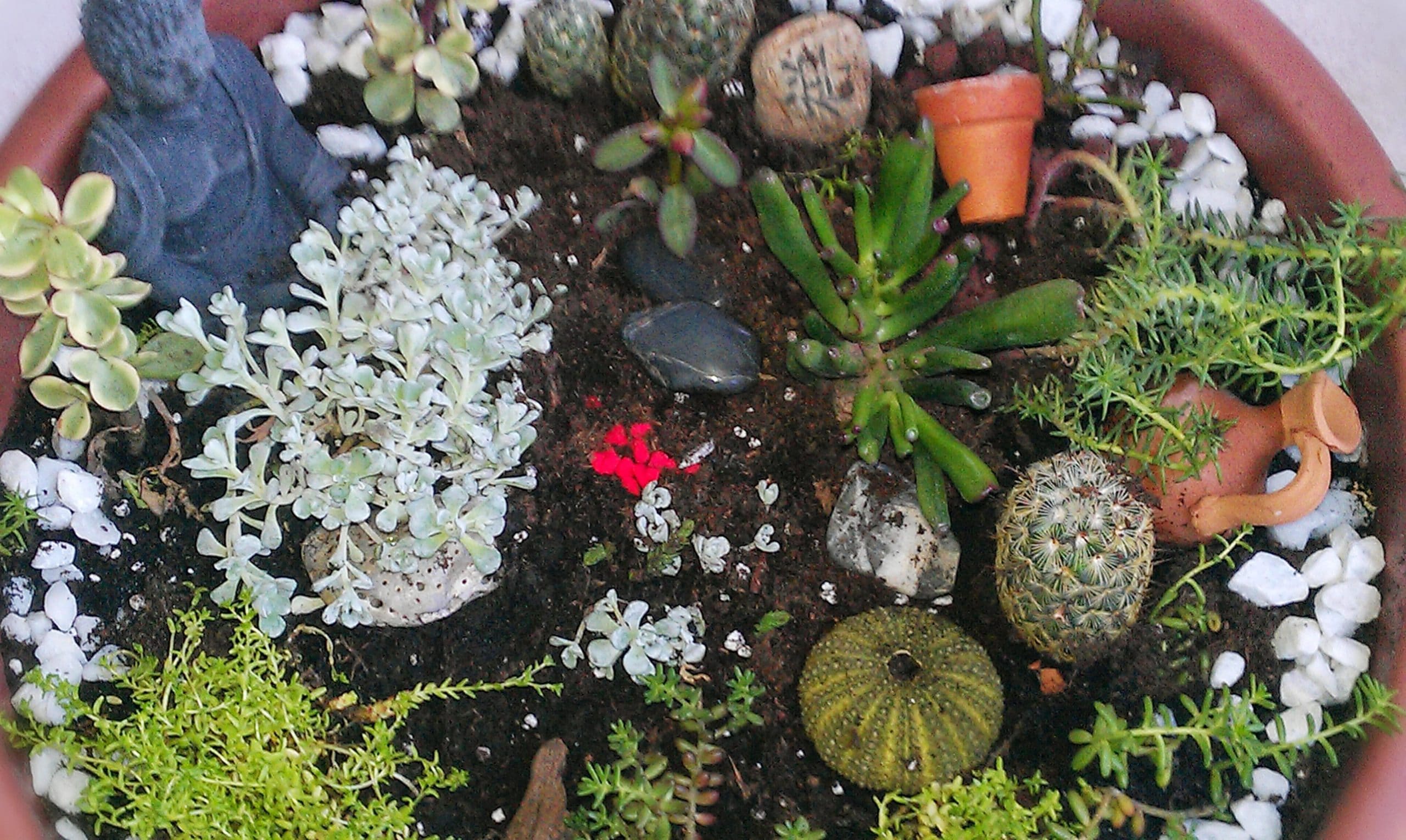 fairy garden