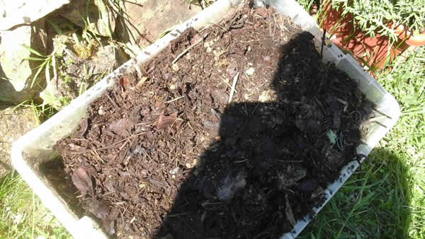 compost