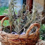 Profumi di #Lavanda