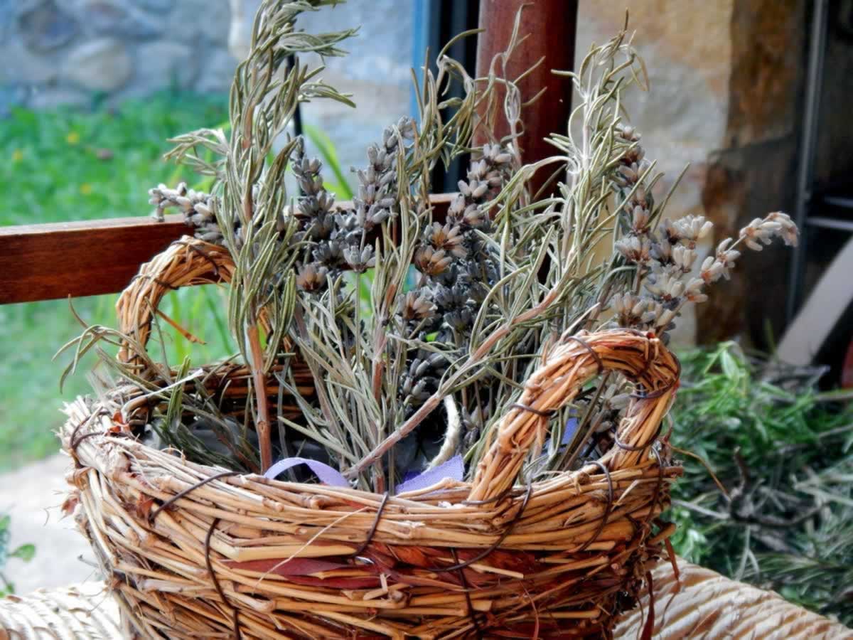 Profumi di #Lavanda