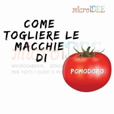 macchie di pomodoro