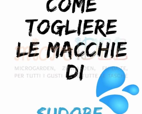 Macchia sudore