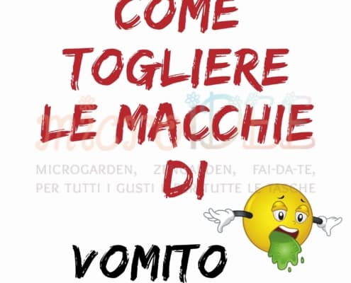 Macchia vomito