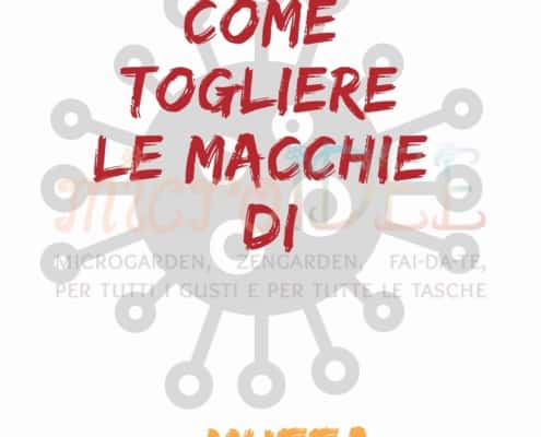 Macchie muffa