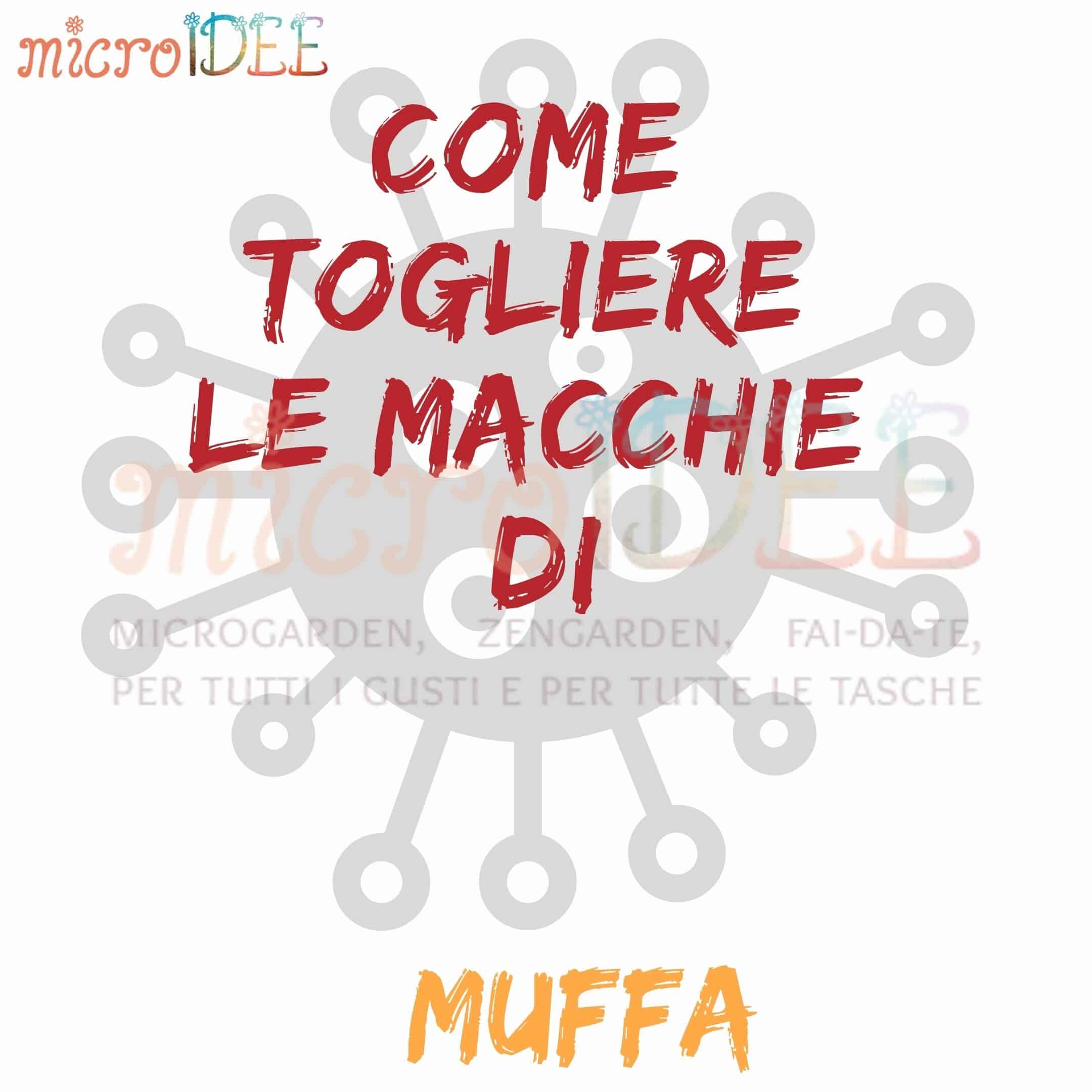 Come togliere le macchie di muffa