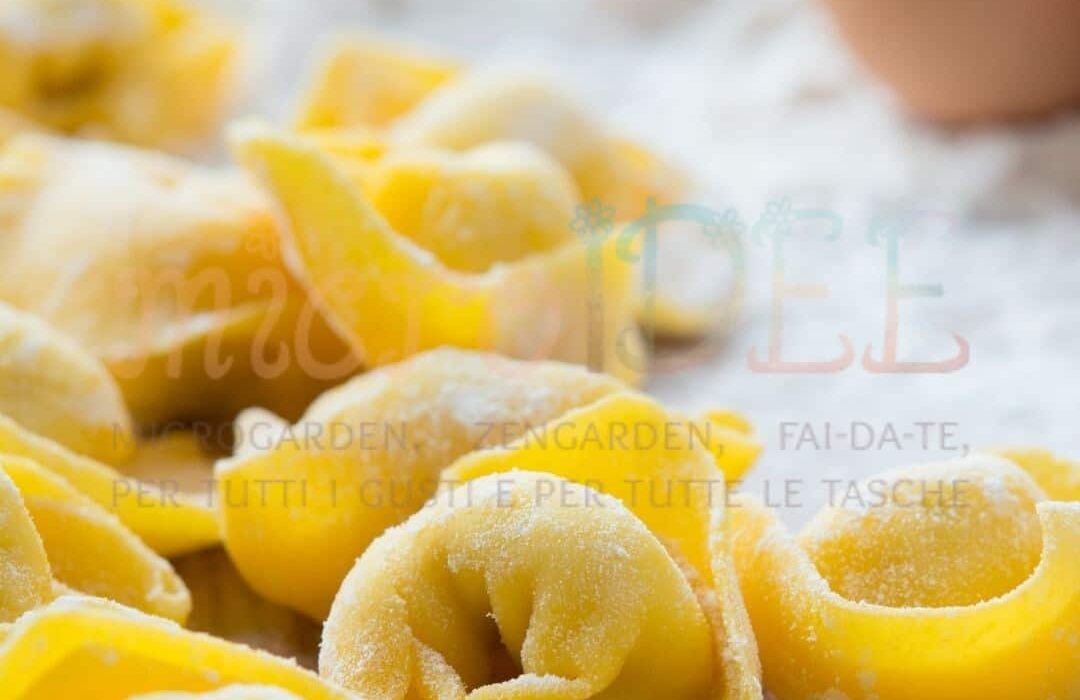 tortellini bolognesi tradizionali serviti in brodo