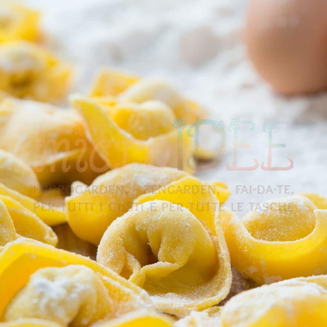 tortellini bolognesi tradizionali serviti in brodo