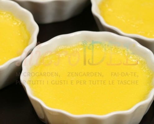 Crema pasticcera