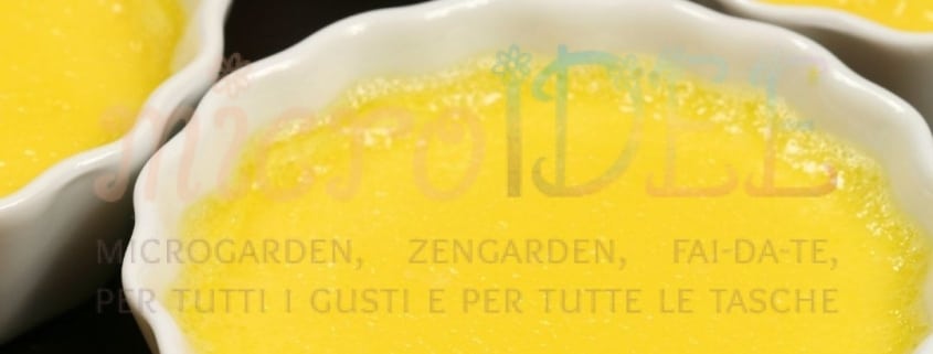 Crema pasticcera