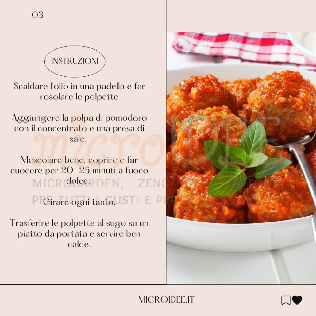 Polpette al sugo