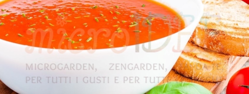 CREMA DI POMODORO